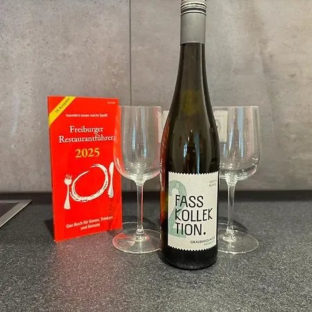 Exklusives 3 Zi Design In Fr-altstadt *