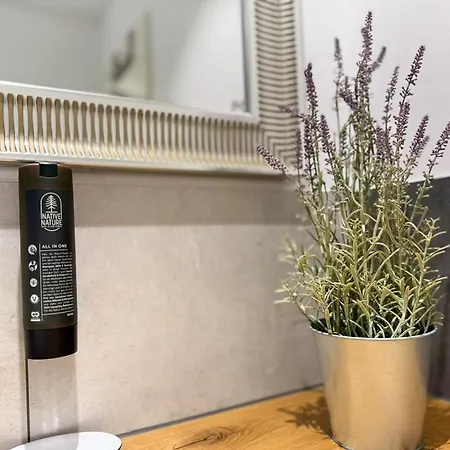 Exklusives 3-zimmer Altstadt-design-apartment * Friburgo de Brisgovia